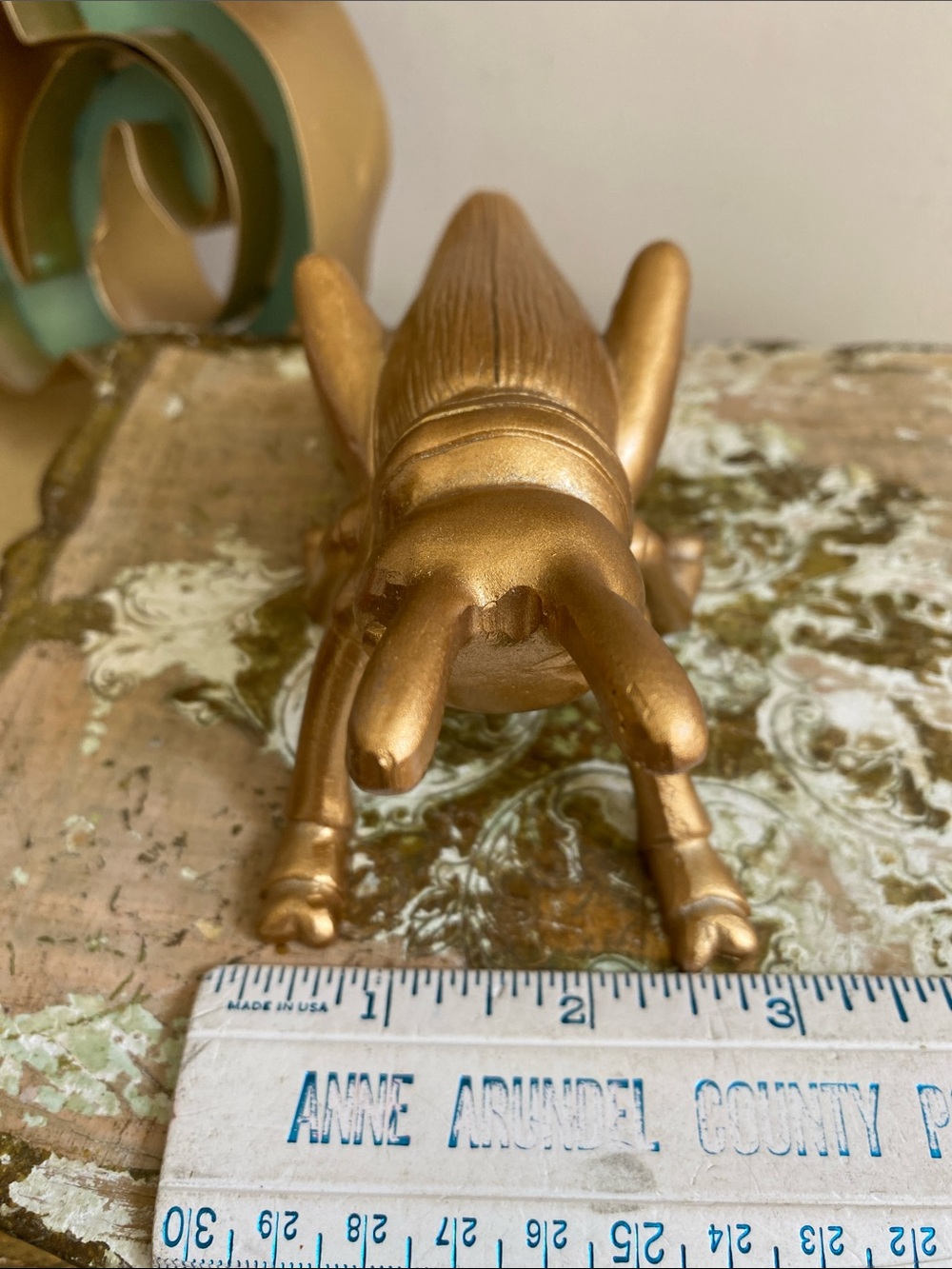 Gold Cricket - Picture 6 of 6